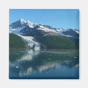 College Fjord II Beauful Alaska Fotografie Magneet