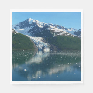 College Fjord II Mooie Alaska Fotografie Servet