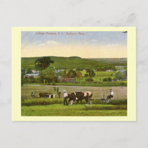 College Meadow, Amherst Massachusetts 1912 Vintage Briefkaart