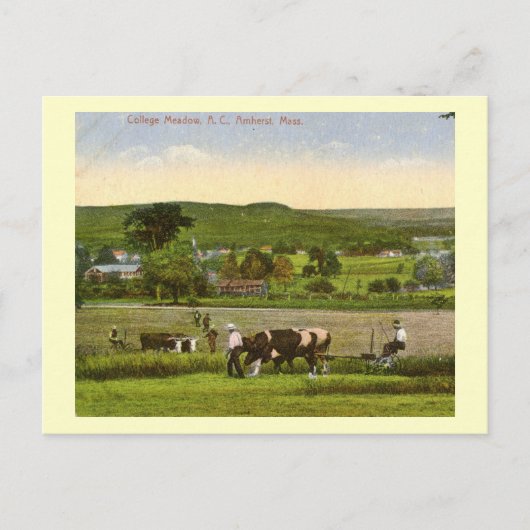 College Meadow, Amherst Massachusetts 1912 Vintage Briefkaart (Voorkant)