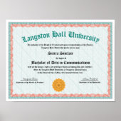 College of University Diploma Replica Poster (Voorkant)