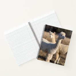 College Regeerde Spiral Notitieboek - Witte Alpaca