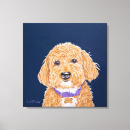 Collegiate Goldendoodle Canvas Afdruk