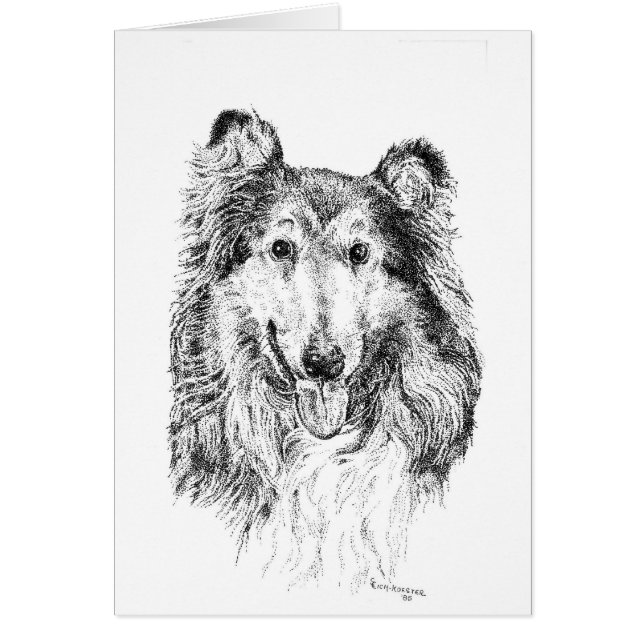 Collie (Voorkant)