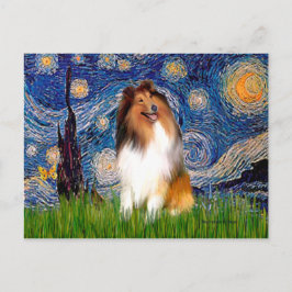Collie 1 - Sterrennacht Briefkaart