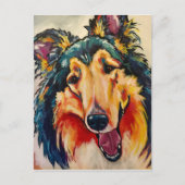 COLLIE 3 BRIEFKAART (Voorkant)