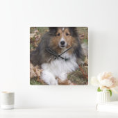 collie-6 vierkante klok (Huis)