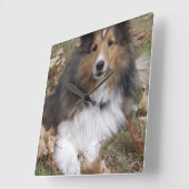 collie-6 vierkante klok (Hoek)