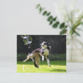 collie aan de rand met zeepbel briefkaart (Staand voorkant)