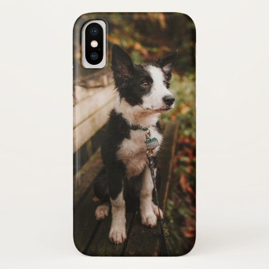 Collie aan de Zwarte en Witte Grens op Park Bench Case-Mate iPhone Case (Achterkant)