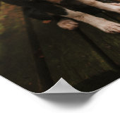 Collie aan de Zwarte en Witte Grens op Park Bench Poster (Hoek)