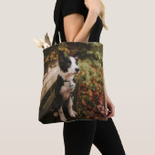 Collie aan de Zwarte en Witte Grens op Park Bench Tote Bag (Dichtbij)