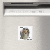 Collie als geen ander ras magneet (Insitu (Vaatwasser))