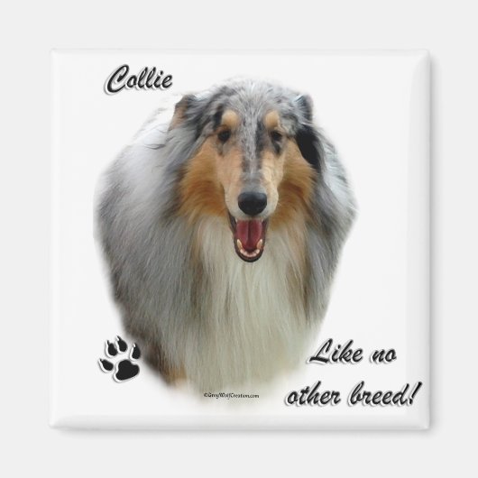 Collie als geen ander ras magneet (Voorkant)
