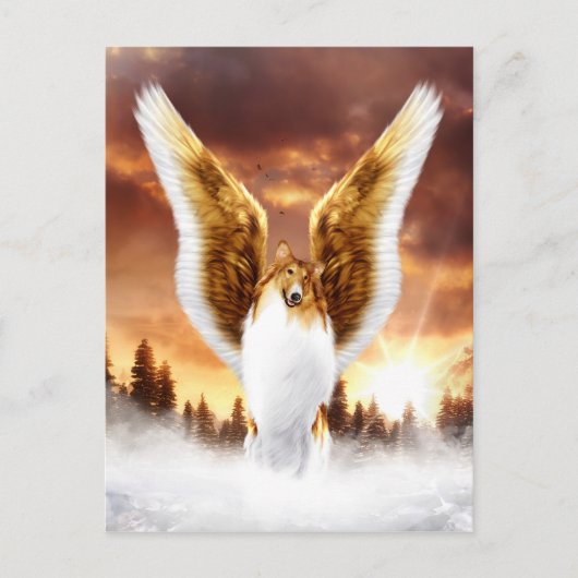 Collie Angel in de winter Sunset Briefkaart (Voorkant)