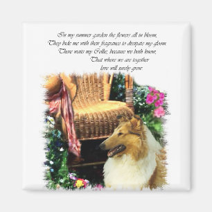 Collie Art Gifts Rough Sable Magneet