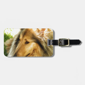 Collie Bagagelabel
