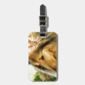 Collie Bagagelabel (Voorkant verticaal)