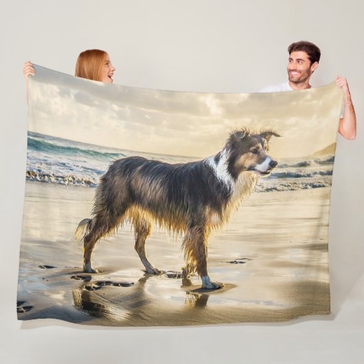 COLLIE bij het ZEE Fleece Deken (In situ)