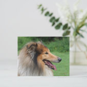 Collie Briefkaart (Staand voorkant)