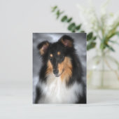 Collie Briefkaart (Staand voorkant)