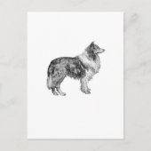 Collie Briefkaart (Voorkant)