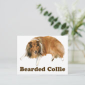 Collie Briefkaart (Staand voorkant)
