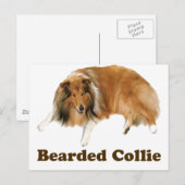 Collie Briefkaart (Voorkant / Achterkant)