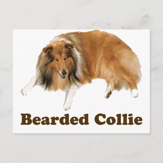 Collie Briefkaart (Voorkant)