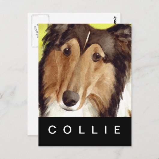 Collie Briefkaart (Voorkant / Achterkant)