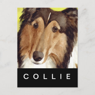 Collie Briefkaart