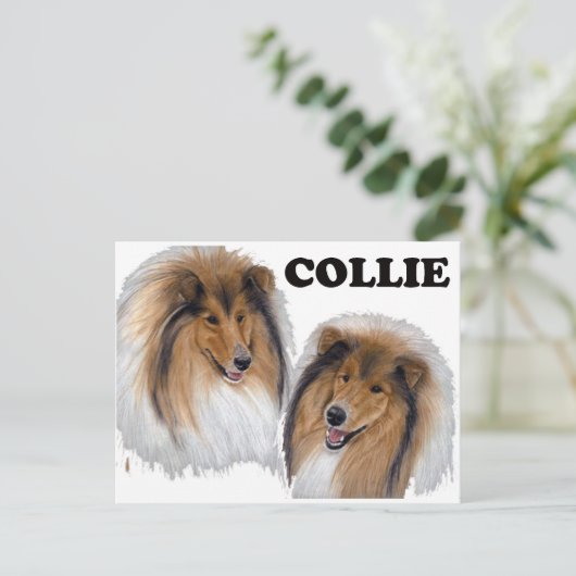 Collie Briefkaart (Staand voorkant)