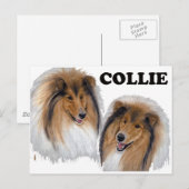Collie Briefkaart (Voorkant / Achterkant)