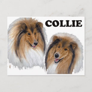 Collie Briefkaart