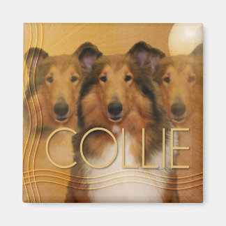Collie Crescent Moon Magneet