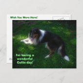 collie-day-briefkaart briefkaart (Voorkant / Achterkant)