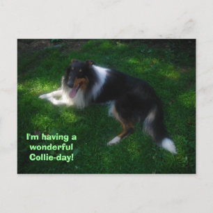 collie-day-briefkaart briefkaart