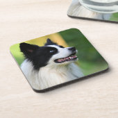 Collie Dog aan de zwarte en witte rand Bier Onderzetter (Linkerzijde)