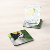 Collie Dog aan de zwarte en witte rand Bier Onderzetter (Rechterzijde)