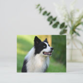 Collie Dog aan de zwarte en witte rand Briefkaart (Staand voorkant)