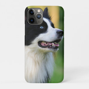 Collie Dog aan de zwarte en witte rand Case-Mate iPhone Case
