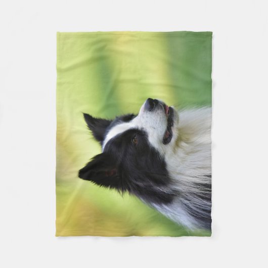 Collie Dog aan de zwarte en witte rand Fleece Deken (Voorkant)