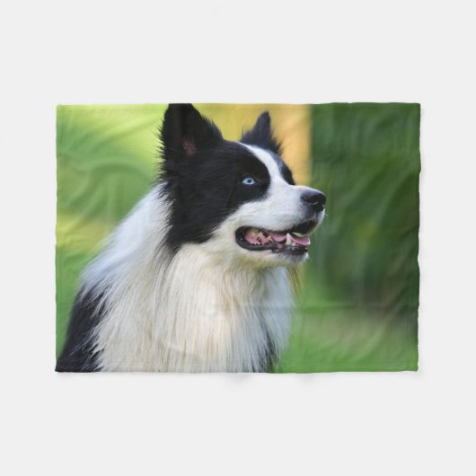 Collie Dog aan de zwarte en witte rand Fleece Deken (Voorkant (Horizontaal))