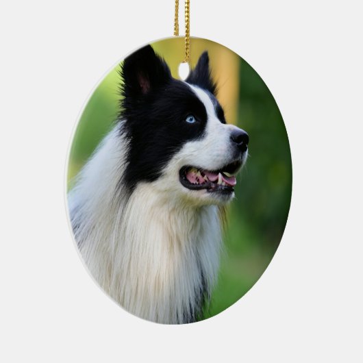 Collie Dog aan de zwarte en witte rand Keramisch Ornament (Rechts)
