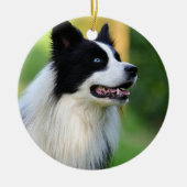 Collie Dog aan de zwarte en witte rand Keramisch Ornament (Voorkant)