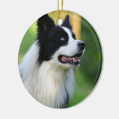 Collie Dog aan de zwarte en witte rand Keramisch Ornament (Links)