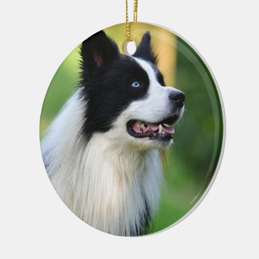 Collie Dog aan de zwarte en witte rand Keramisch Ornament (Links)