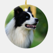 Collie Dog aan de zwarte en witte rand Keramisch Ornament (Achterkant)