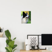 Collie Dog aan de zwarte en witte rand Poster (Thuiskantoor)