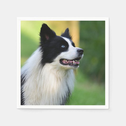 Collie Dog aan de zwarte en witte rand Servet (Voorkant)